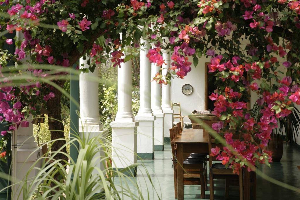 York Lodge Χαράρε Εξωτερικό φωτογραφία